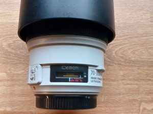 Canon 70 to 300mm f 3.5 lens