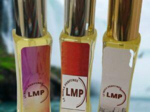 10 x 25ml Perfumes R295