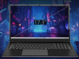 17.3 Inch Laptop Windows 11 8GB DDR4 256GB