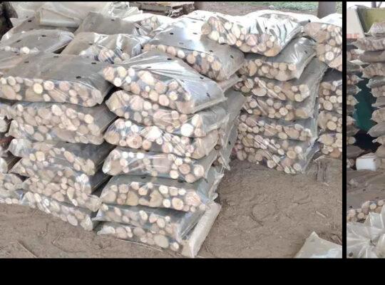dry firewood