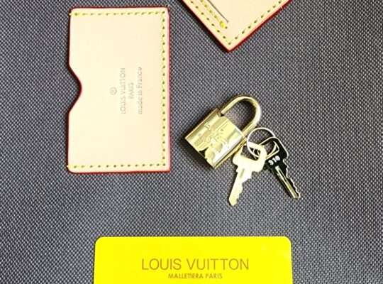 Louis Vuitton travel luggage set