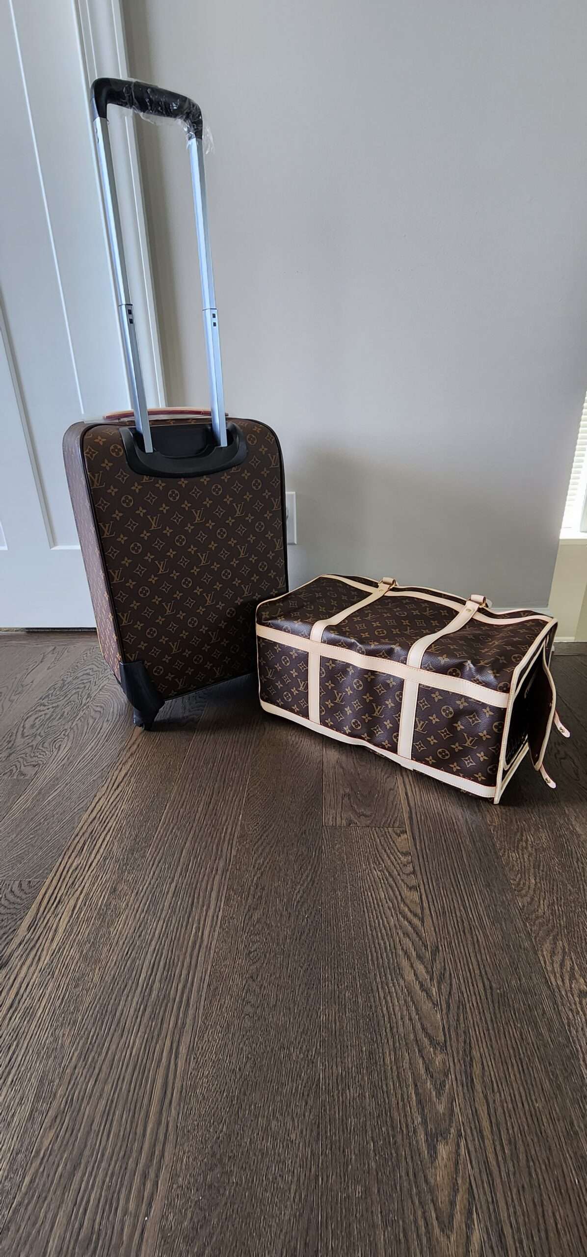 Louis Vuitton travel luggage set
