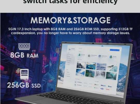 17.3 Inch Laptop Windows 11 8GB DDR4 256GB