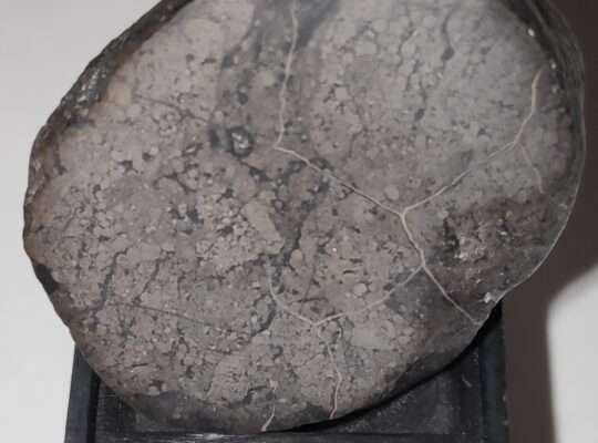 Meteorite Unique Achondrite