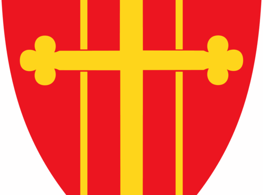 Den norske kirke-Kateket/menighetspedagog