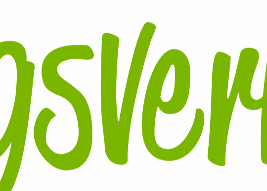 Læringsverkstedet-Pedagogisk Leder